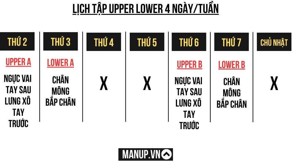 Lịch tập gym Upper Lower 4 ngày 1 tuần cho nam