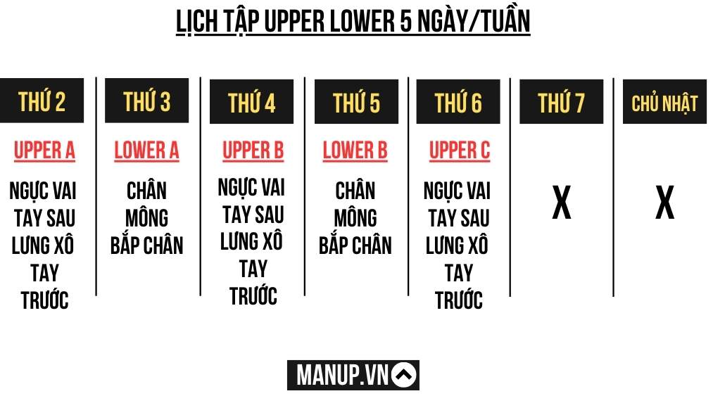 Lịch tập gym Upper Lower 5 ngày 1 tuần cho nam