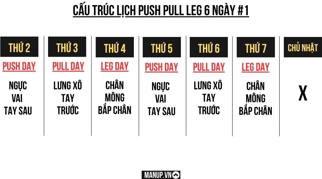 Lịch tập Push Pull Leg 6 ngày chi tiết, khoa học, hiệu quả