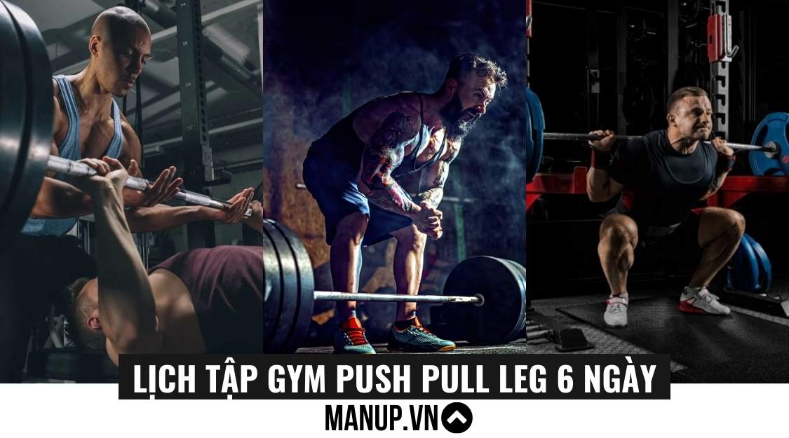 Lịch tập Push Pull Leg 6 ngày chi tiết, khoa học, hiệu quả