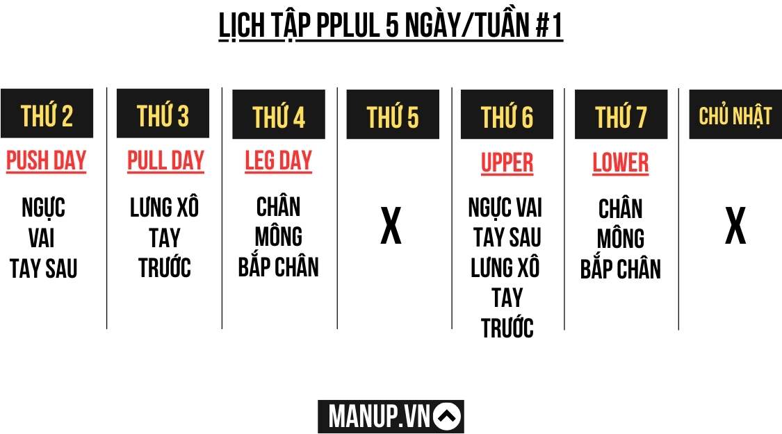 Cách xếp lịch tập PPLUL 5 ngày/tuần phù hợp cho nam