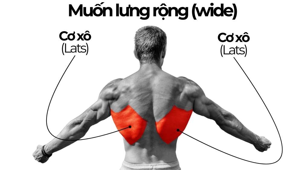 Các bài tập lưng kéo xuống / kéo lên cho nam ( giúp lưng rộng - wide back )