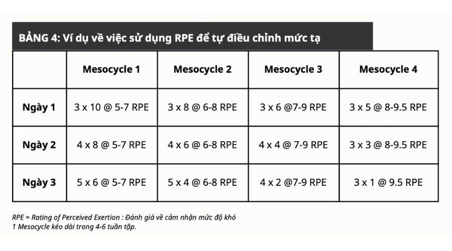 RPE và RIR