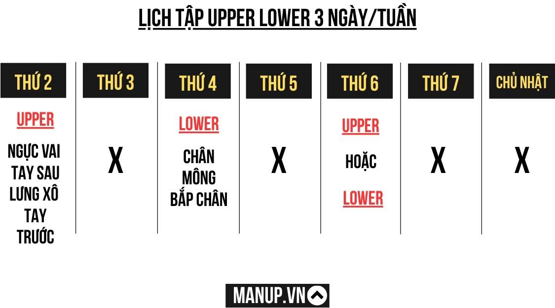 Lịch Upper Lower 3 ngày/tuần cho người bận rộn