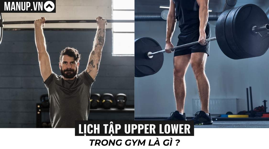 Lịch tập Upper Lower là gì trong gym