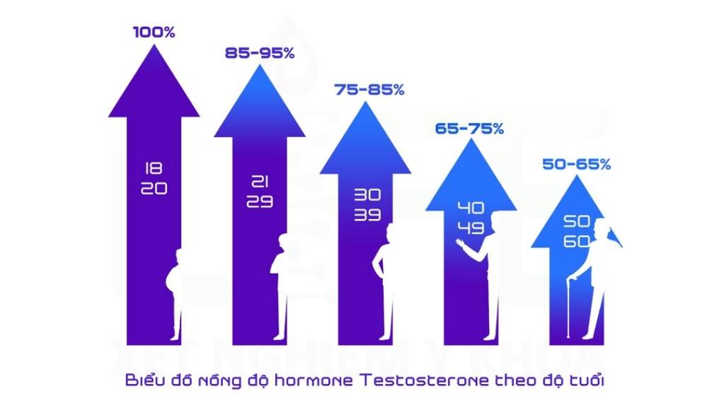 Thang đo và khoảng giá trị tham chiếu của testosterone nam