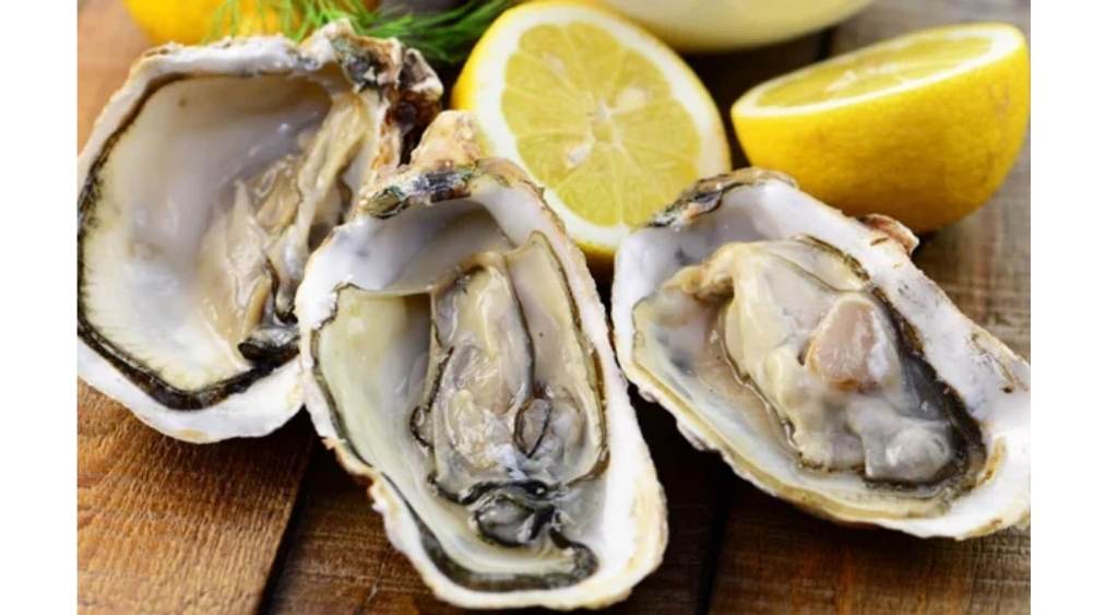 Các loại hải sản có vỏ (hàu, trai, nghêu)