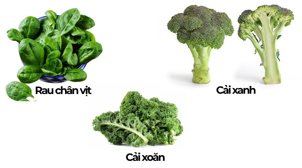 Rau chân vịt, cải xoăn , cải xanh