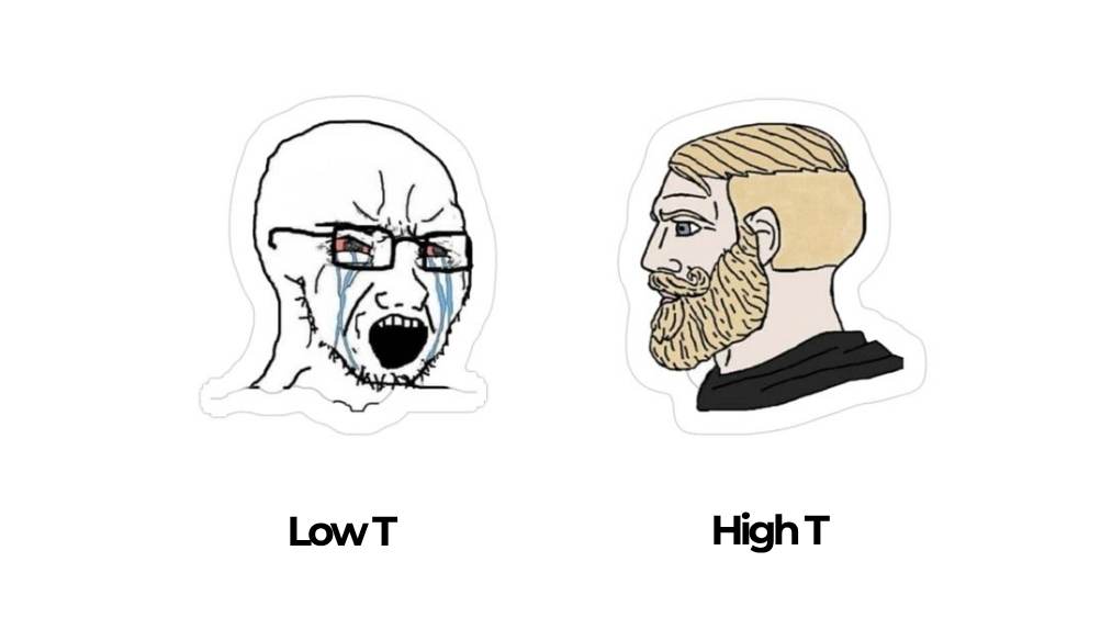 So sánh dấu hiệu testosterone cao và thấp