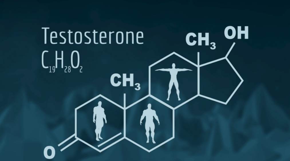Testosterone nam