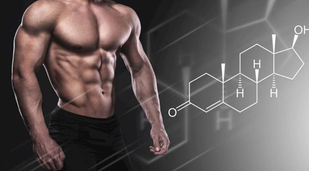 Vai trò sinh lý & sức khỏe của Testosterone nam