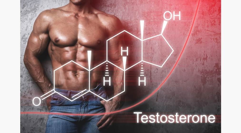 testosterone nam bao nhiêu là bình thường