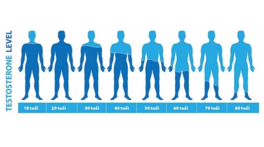 Định lượng testosterone theo độ tuổi