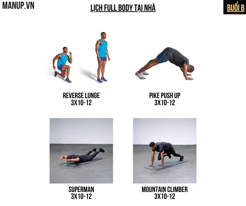 Lịch Full Body Tại Nhà