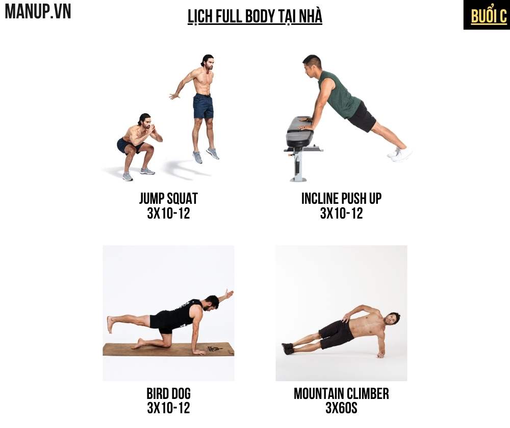 Lịch Full Body Tại Nhà