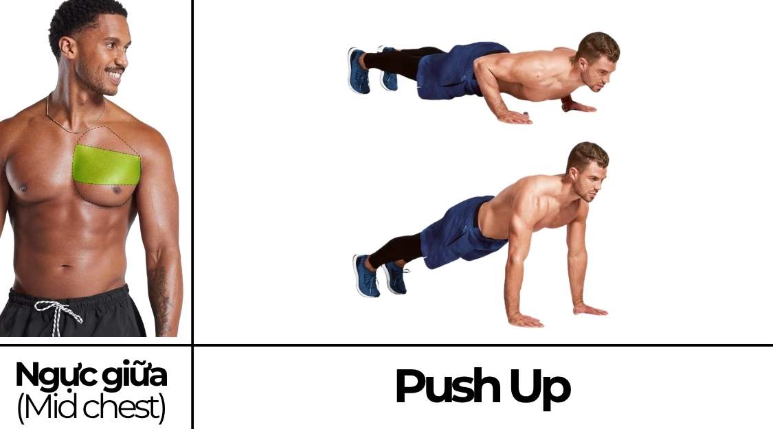 Push Up
