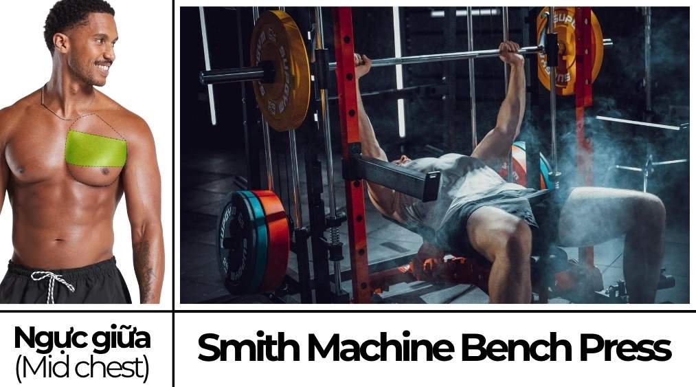smith machine bench press