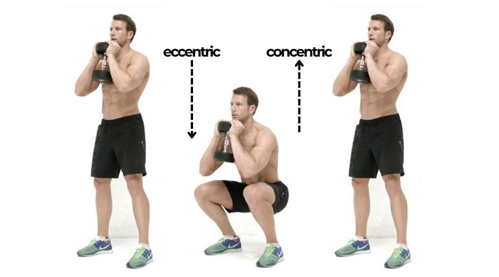 Eccentric trong gym