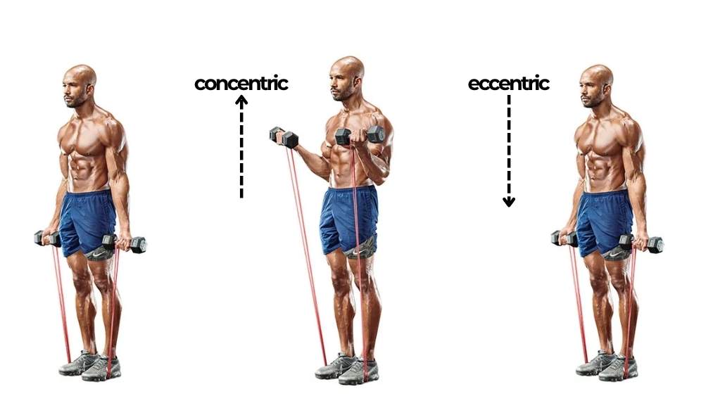 Eccentric trong gym