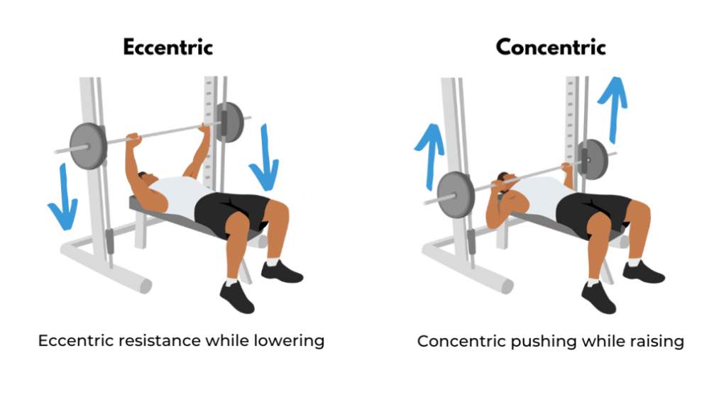Eccentric trong gym