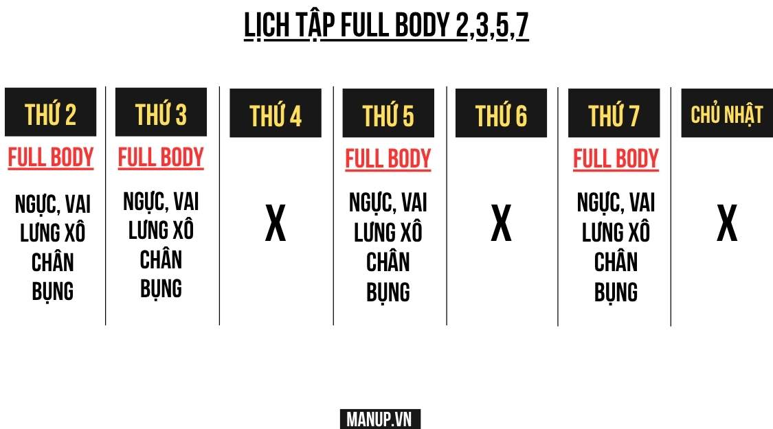 Lịch Full Body 4 Buổi