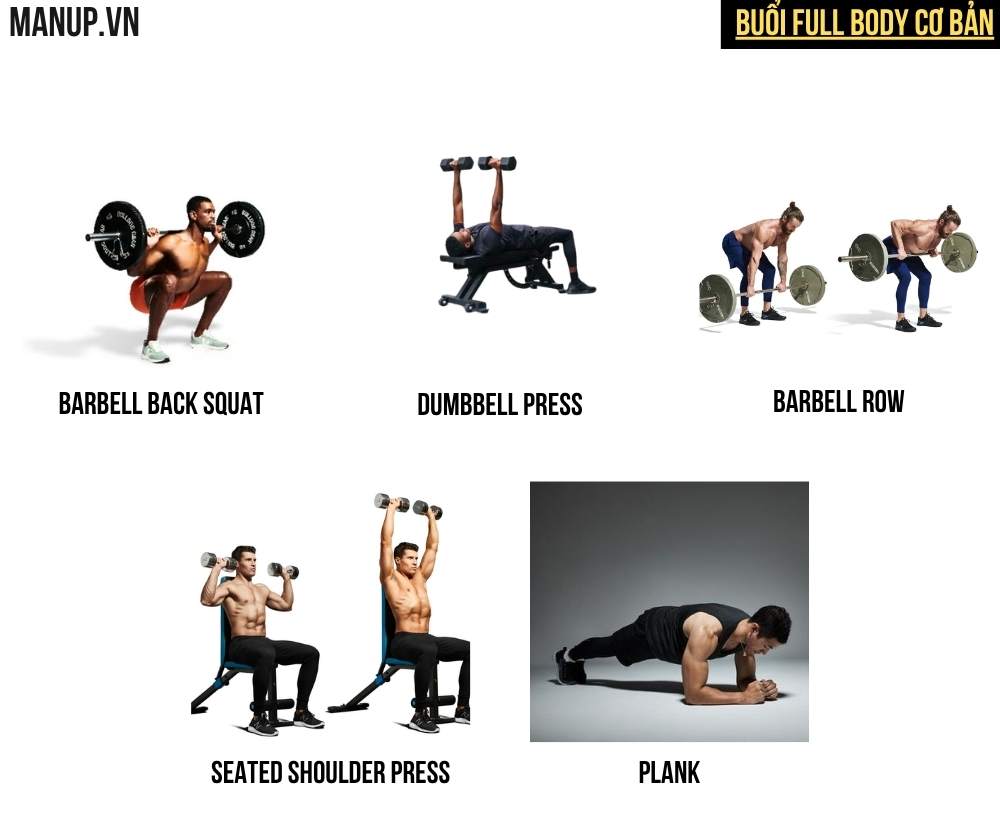 full body workout