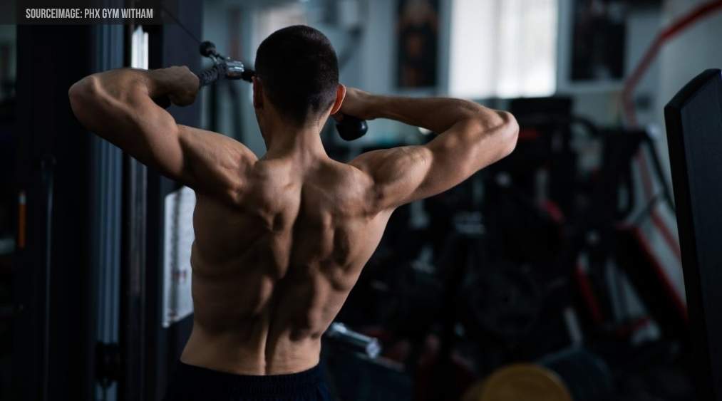 tempo trong gym là gì