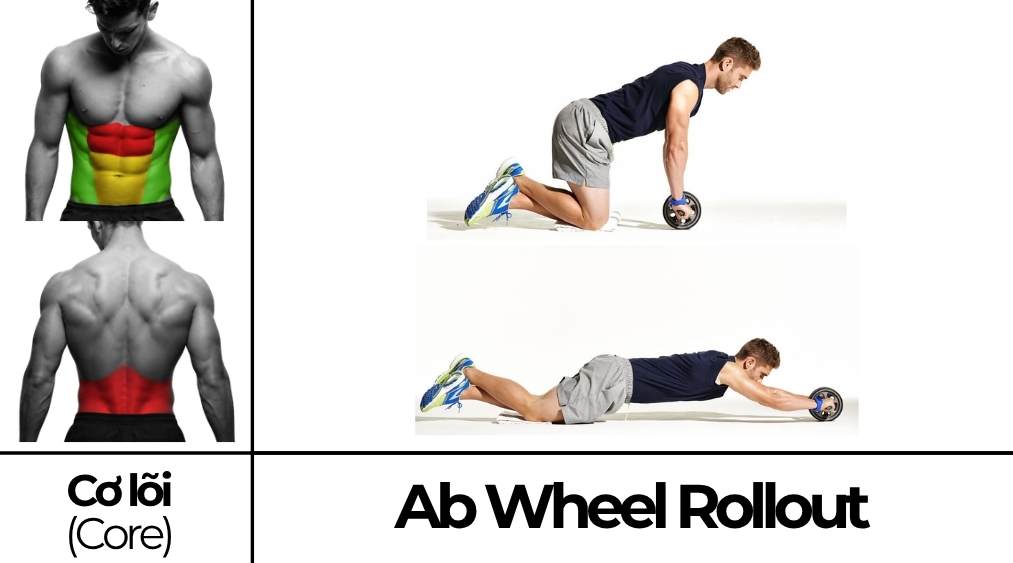 Ab Wheel Rollout