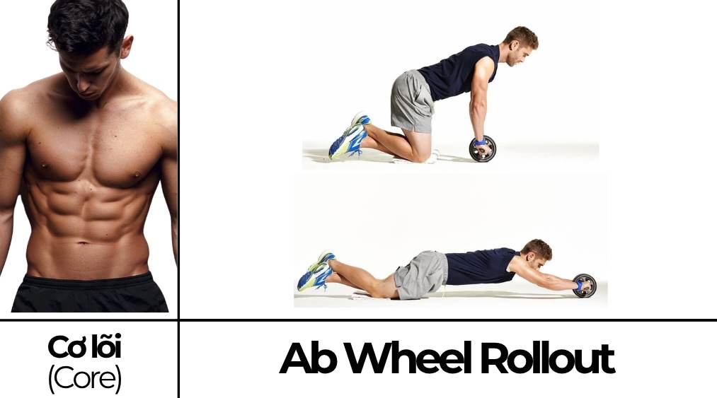 Ab Wheel Rollout