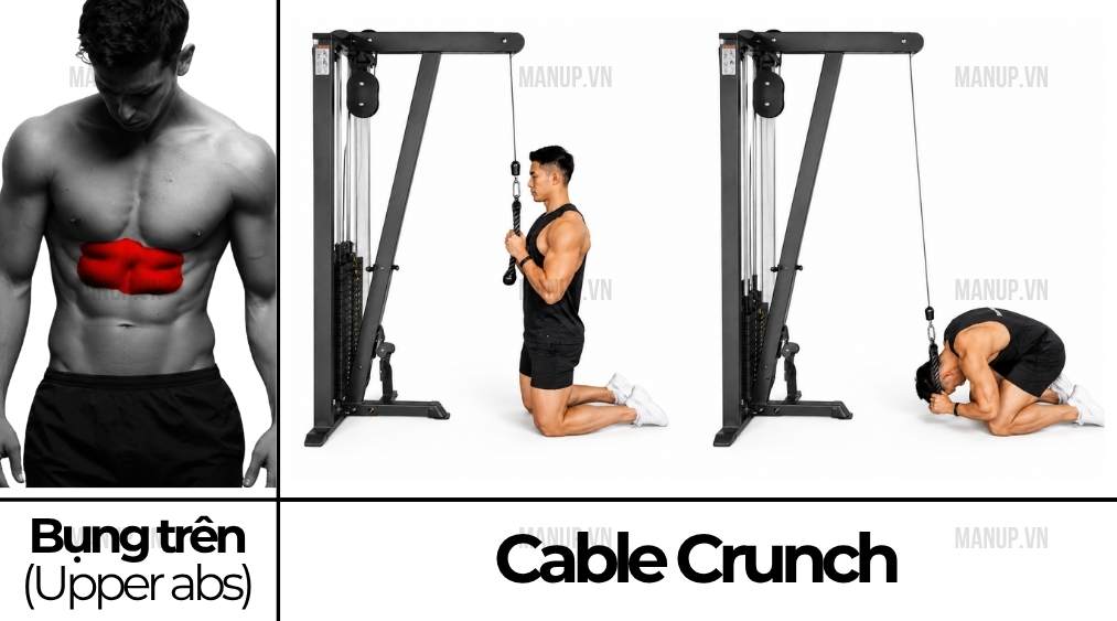 Cable Crunch
