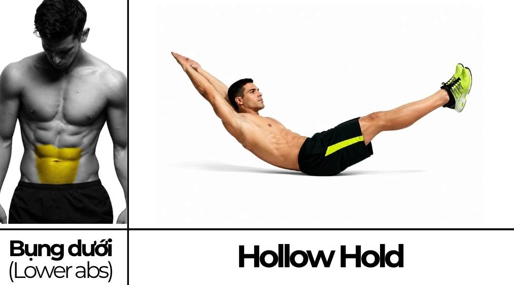 Hollow Hold