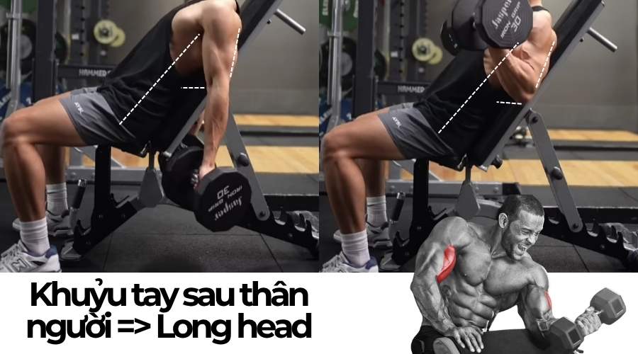 Long head