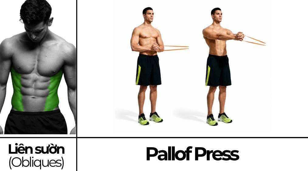 Pallof Press