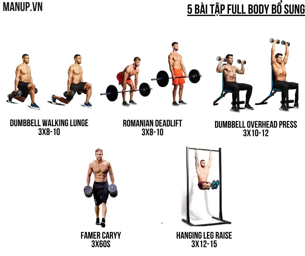 bài tập Full Body hiệu quả