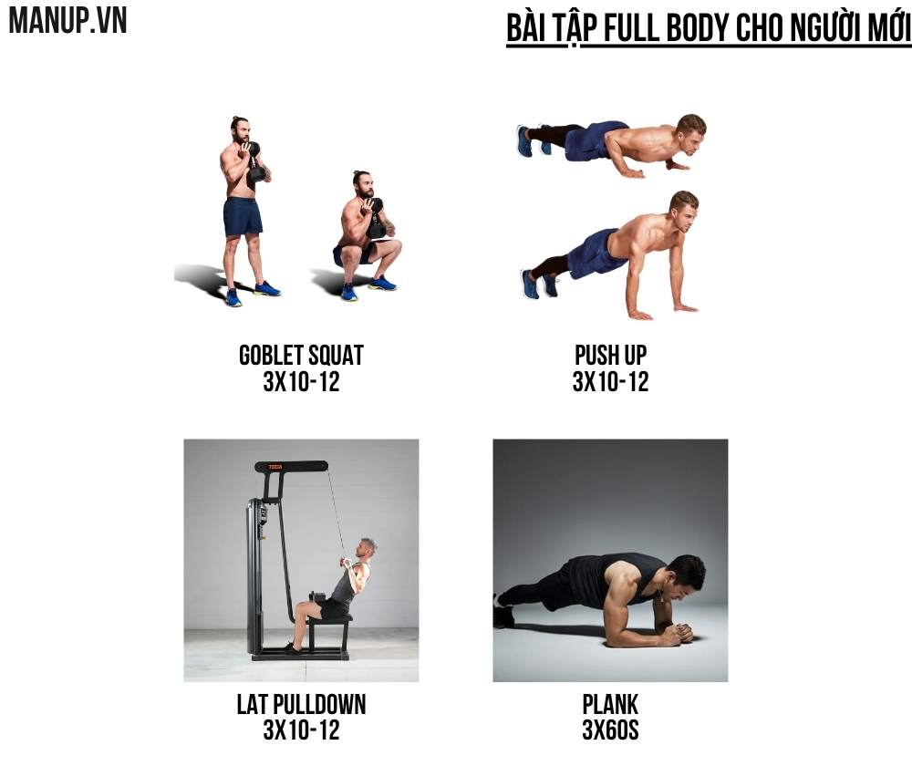 bài tập Full Body hiệu quả