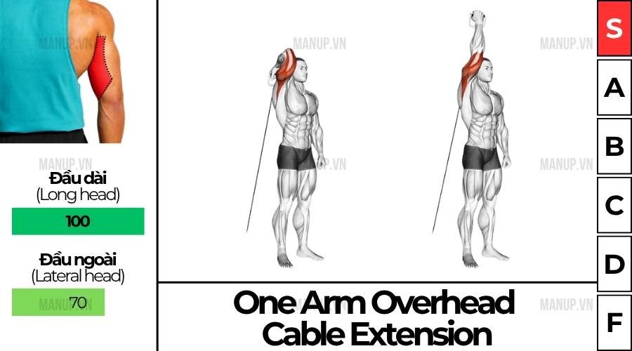 One Arm Overhead Cable Extension
