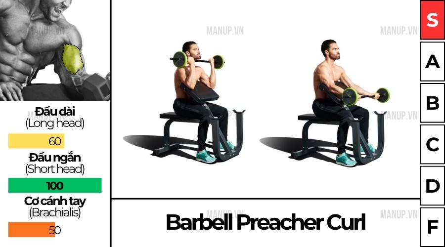 Barbell Preacher Curl