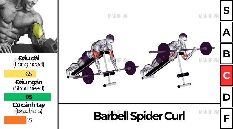 Barbell Spider Curl