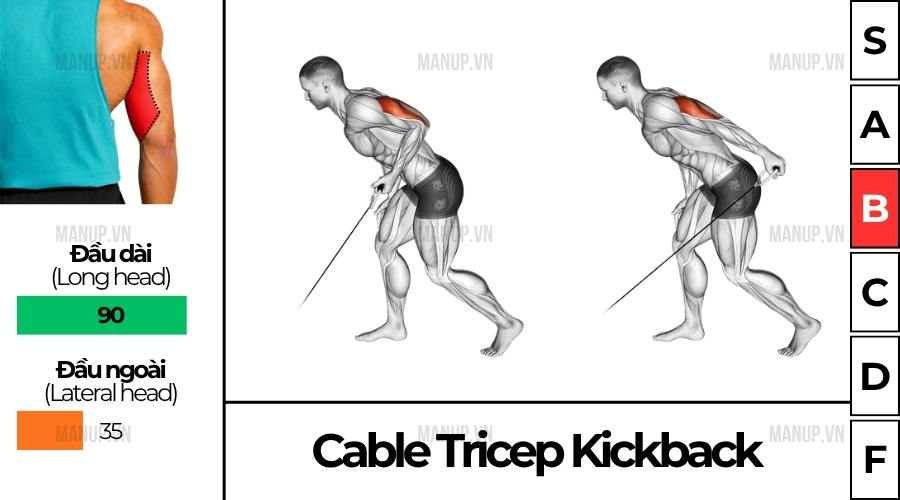 cách tập Cable Tricep Kickback