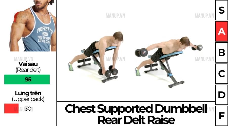 Cách Tập Chest Supported Dumbbell Rear Delt Fly Đúng Kỹ Thuật