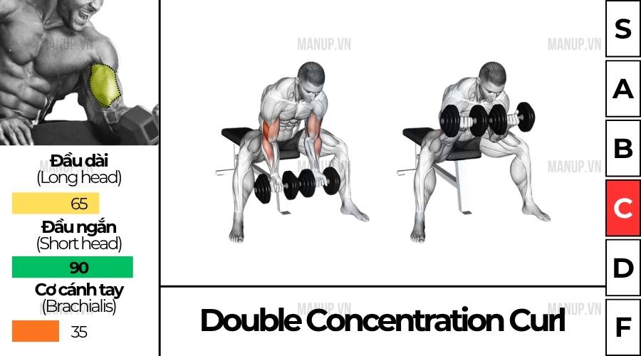 cách tập Double Concentration Curl