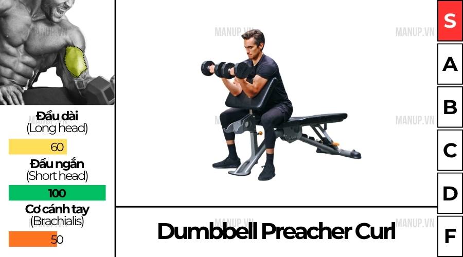 Cách tập Dumbbell Preacher Curl