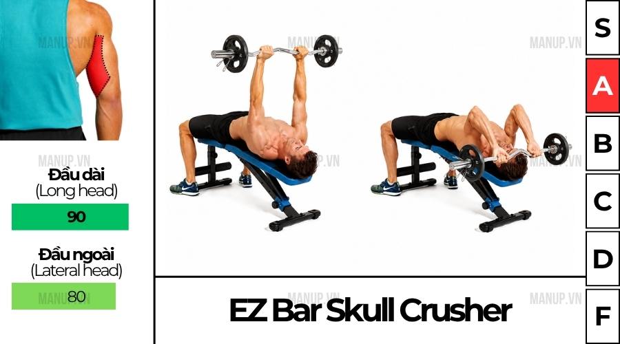 Cách tập EZ Bar Skull Crusher