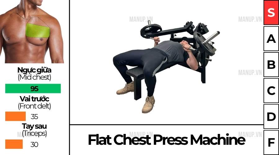 Cách Tập Flat Chest Press Machine
