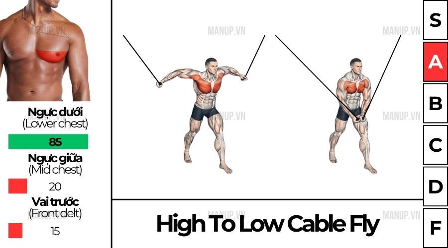 High To Low Cable Fly