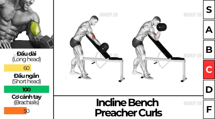 cách tập Incline Bench Preacher Curl