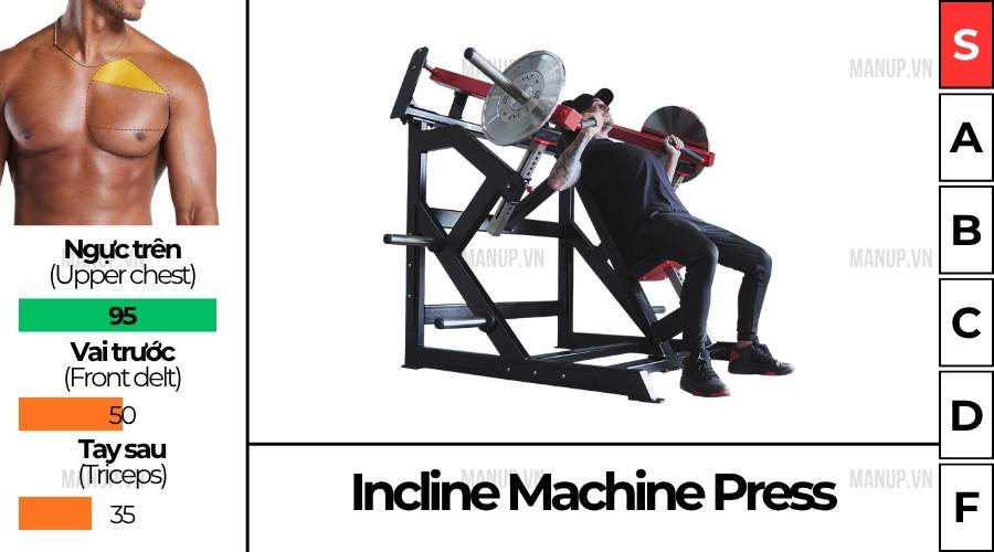 Cách Tập Incline Chest Press Machine
