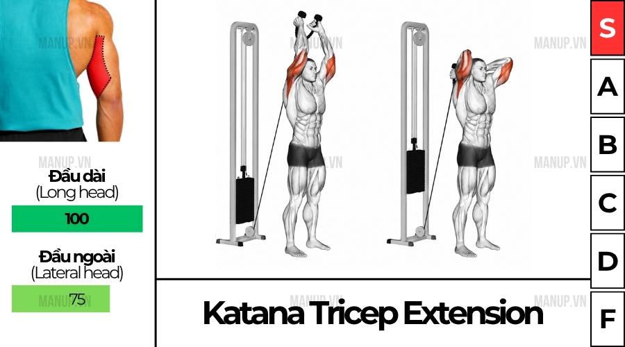 Cách Tập Katana Tricep Extension Đúng Kỹ Thuật