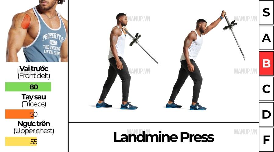 Landmine Press