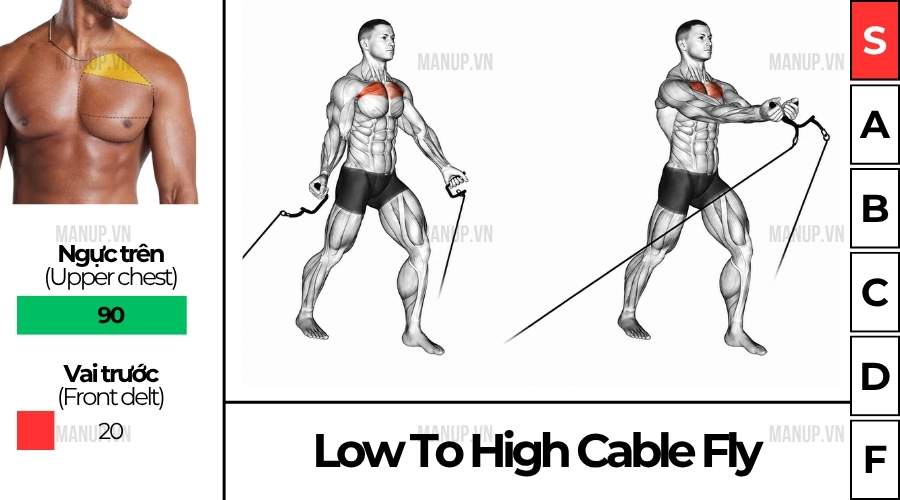 Cách tập  Low To High Cable Fly